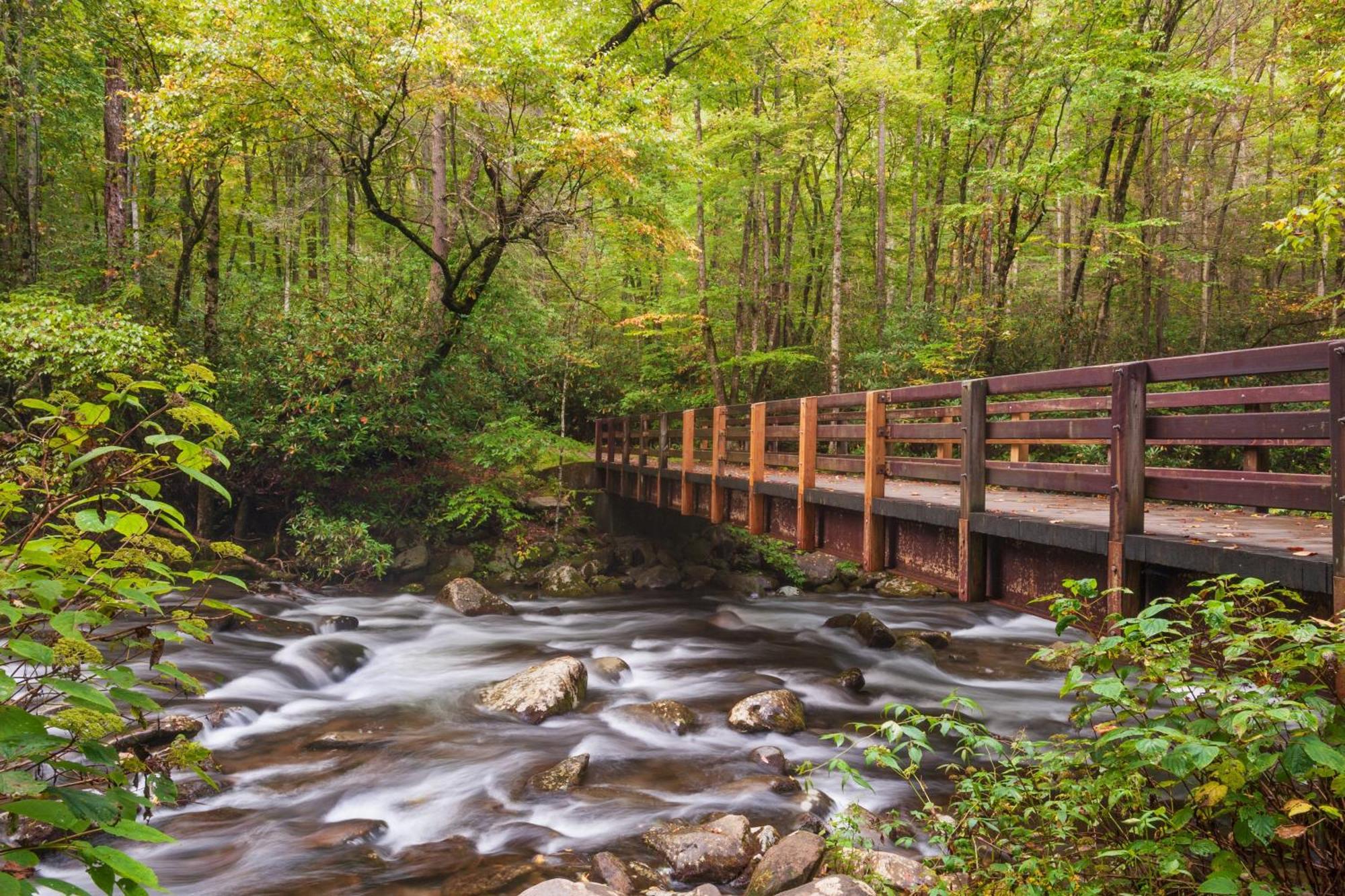 Tranquility Hollow, Indoor Pool, Game Room, 1089 Free Tickets Each Paid Day, Dollywood And More! سيفيرفيل المظهر الخارجي الصورة
